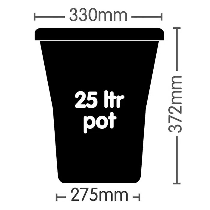 Módulo Auto3 XL (para 3 macetas plásticas de 25L) - Imagen 3