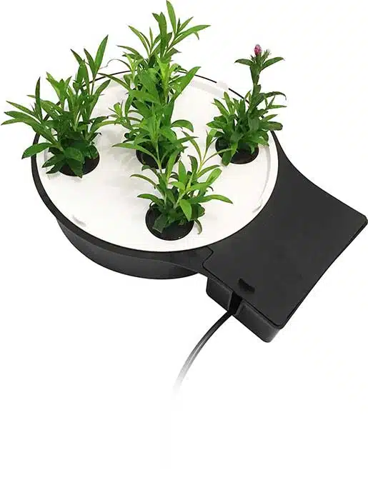 AQUAplate - Kit circular - Imagen 2