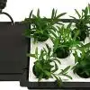 AQUAplate - Kit cuadrado - Thumbnail Image 3