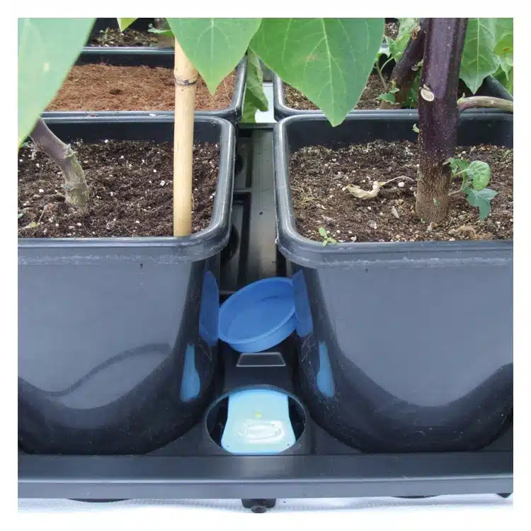 Módulo Auto9 XL (para 9 macetas plásticas de 25L) - Imagen 7