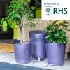 KP-WS-B_Khloris_Watering_System_Blackberry_RHS_Situ_No_Copy.jpg