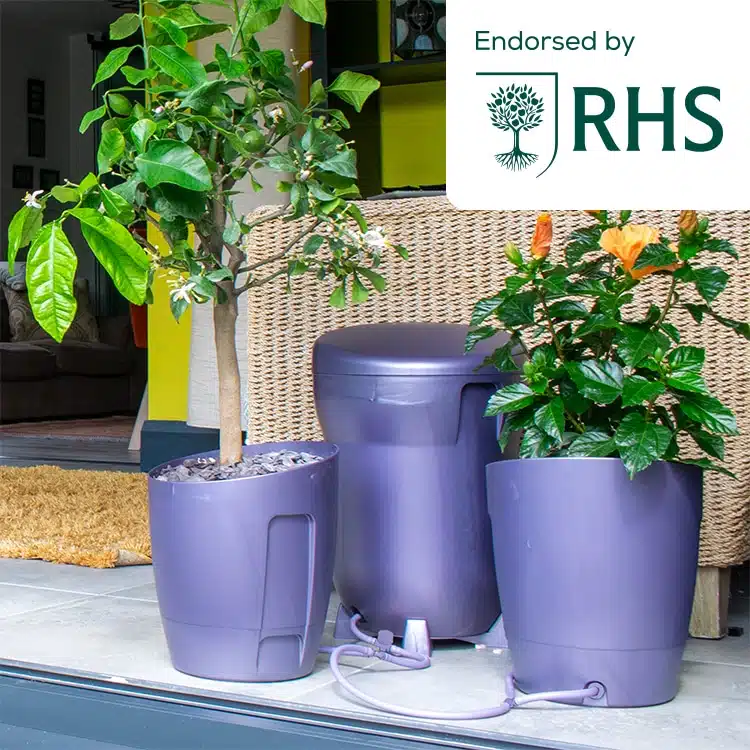 KP-WS-B_Khloris_Watering_System_Blackberry_RHS_Situ_No_Copy.jpg