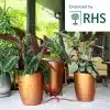 KP-WS-C_Khloris_Watering_System_Copper_RHS_Situ_No_Copy.jpg