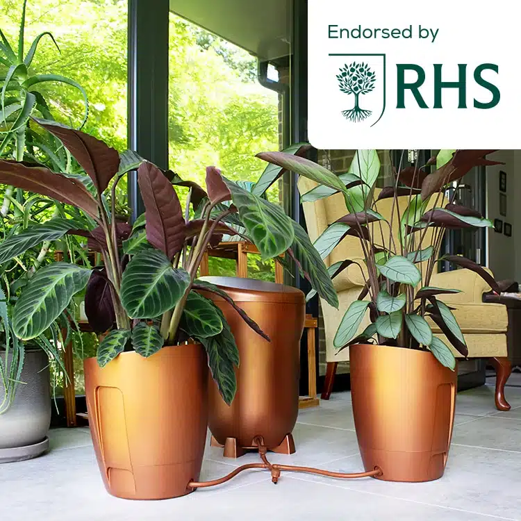 KP-WS-C_Khloris_Watering_System_Copper_RHS_Situ_No_Copy.jpg