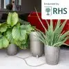 KP-WS-S_Khloris_Watering_System_Sage_Situ_RHS_No_Copy.jpg
