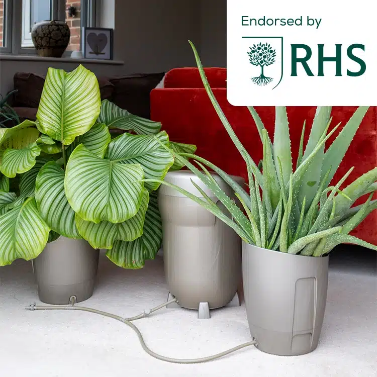 KP-WS-S_Khloris_Watering_System_Sage_Situ_RHS_No_Copy.jpg