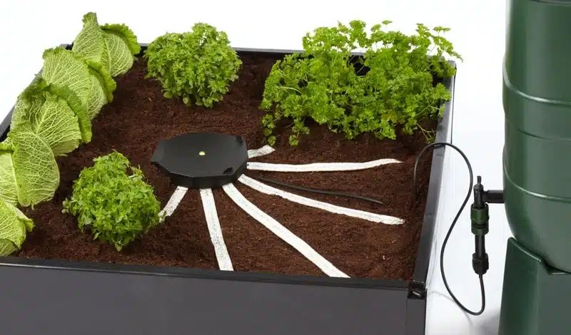 AQUAbox Spyder - Imagen 3