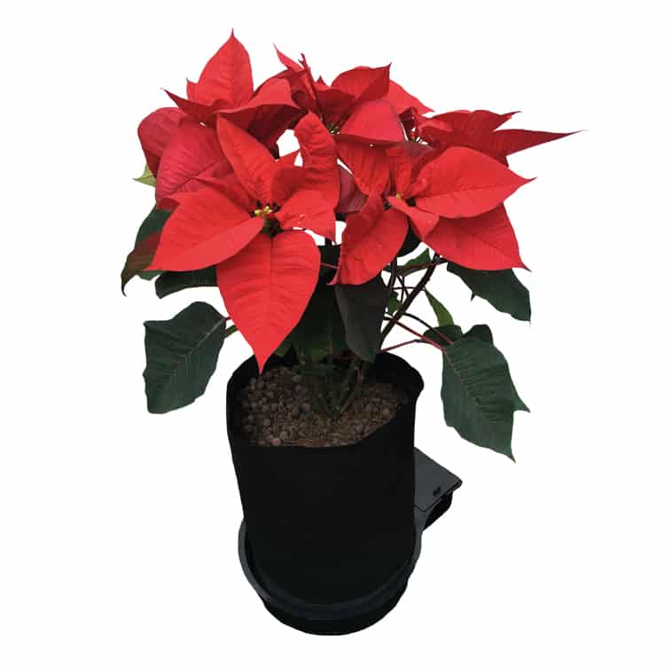 Sistema 24Pot XL FlexiPot - Imagen 3