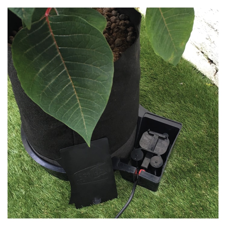 Sistema 80Pot XL FlexiPot - Imagen 2