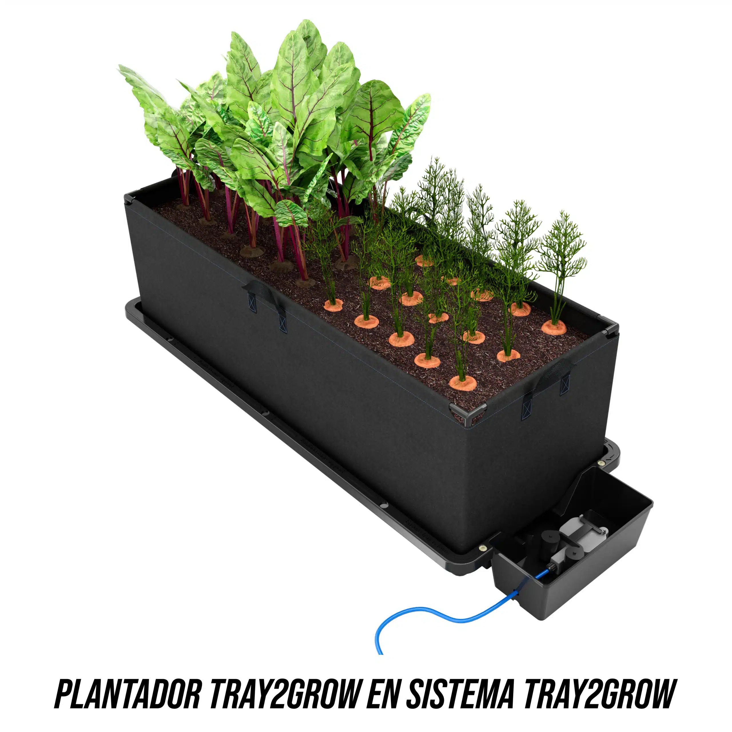 Maceta tela Tray2Grow - Imagen 4