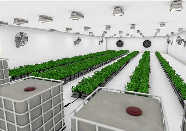 Veg-Phase-II-option-2-High-Res-1.jpg