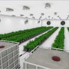 Veg-Phase-II-option-2-High-Res-9