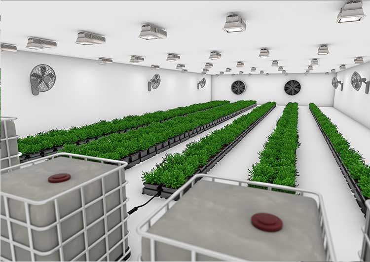Sistema easy2grow 80 - Imagen 2