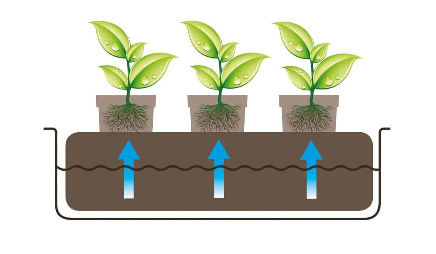diagram_cocomat-1.jpg
