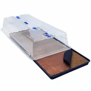 easy2Propagate - Kit básico