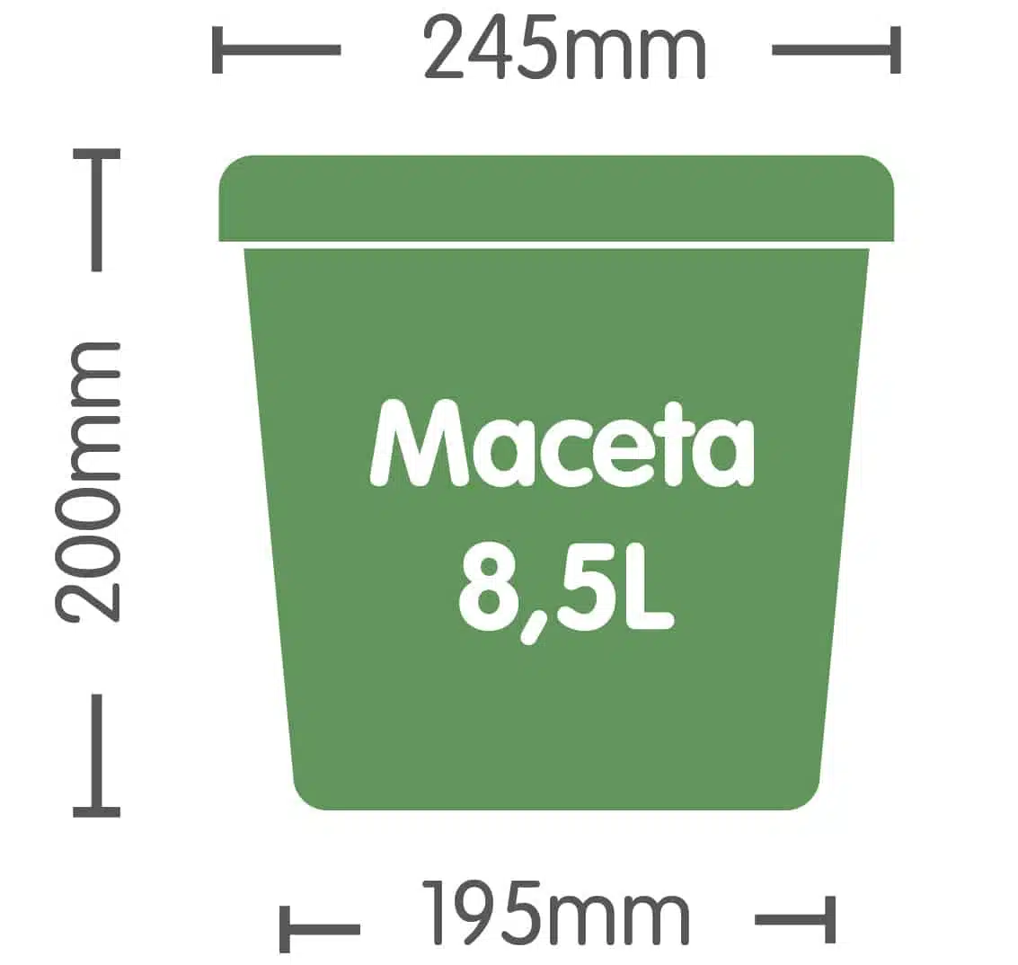 Maceta de 8,5L - Imagen 3